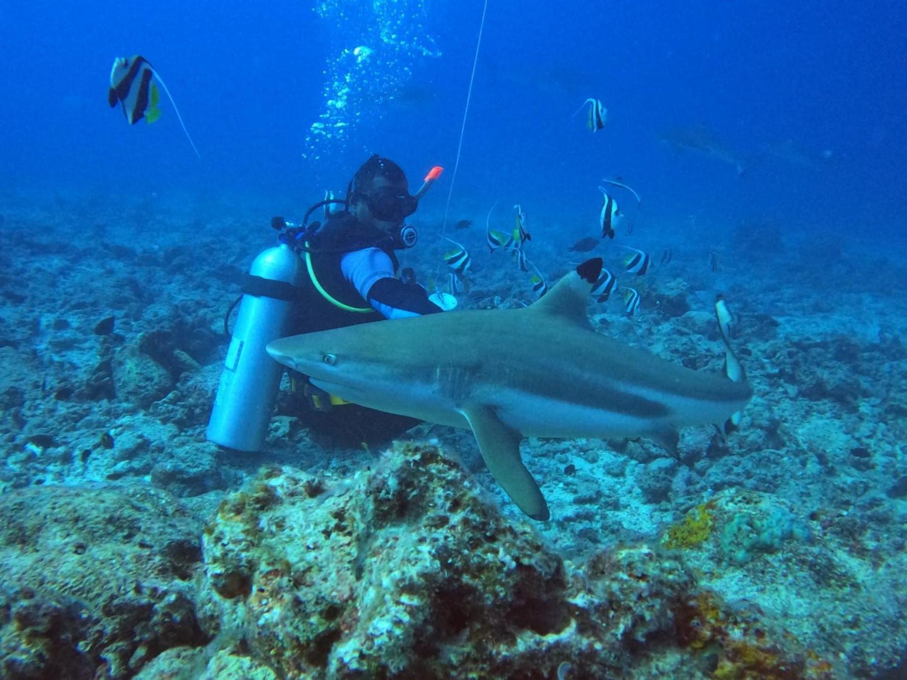 Ratu Kini Dive & Stay Остров Мана Екстериор снимка